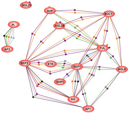 Figure 3.