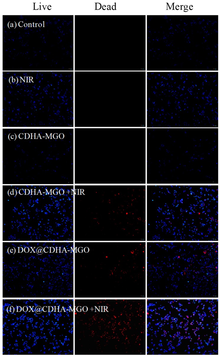 Figure 7