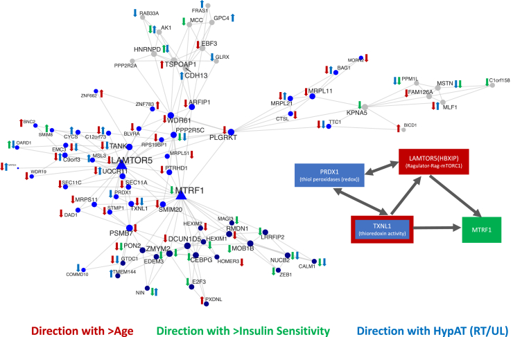 Figure 6