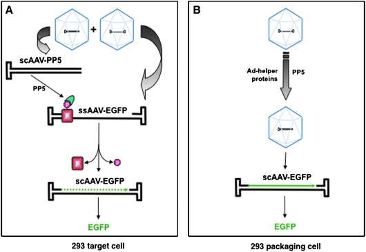 FIG. 4.