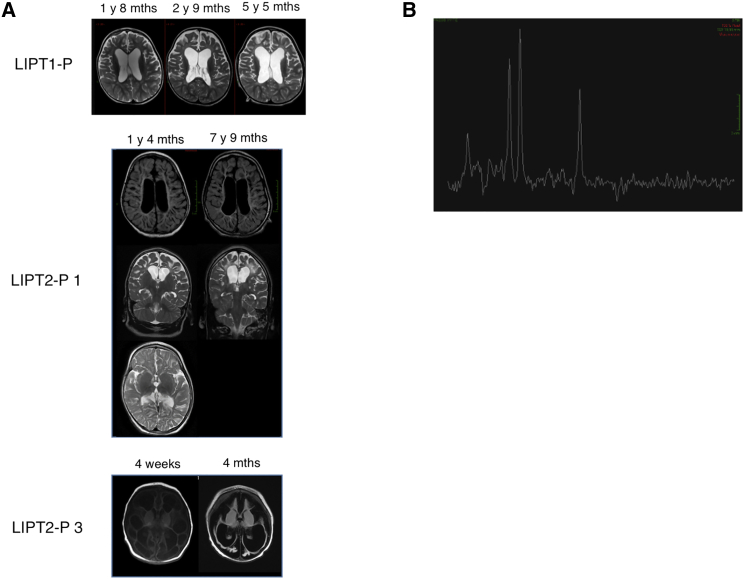 Figure 1