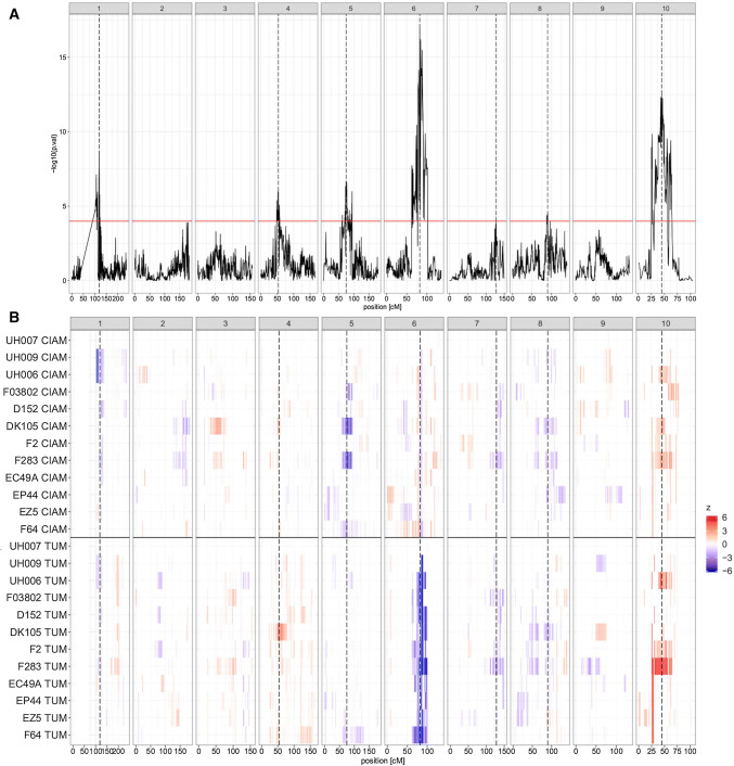 Fig. 1