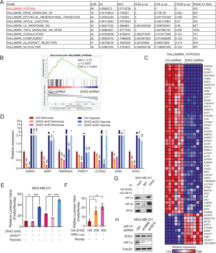 Figure 4—figure supplement 2.