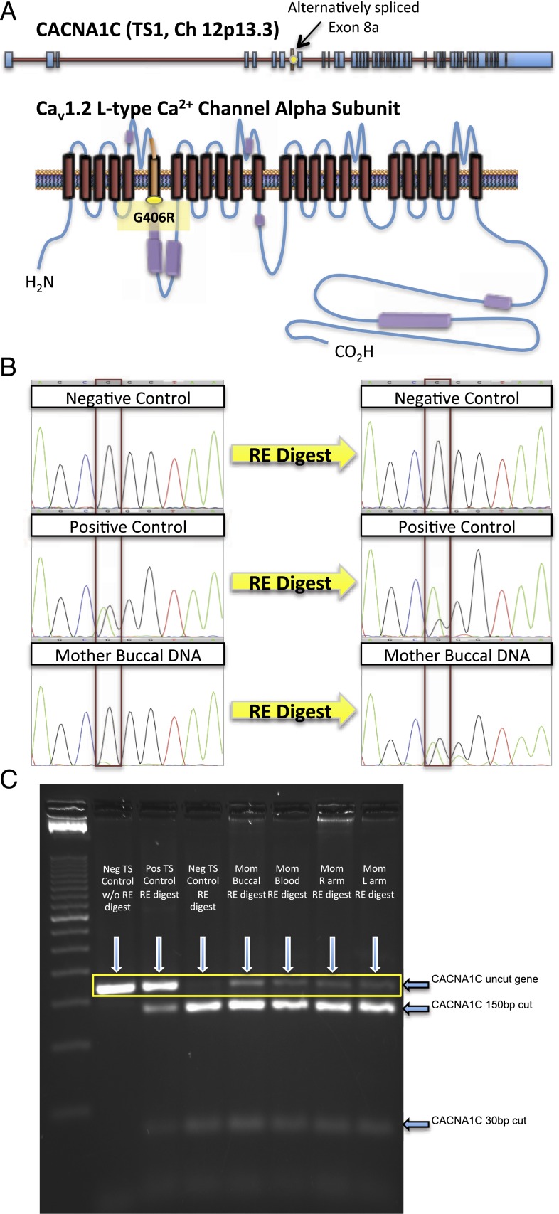 FIGURE 2