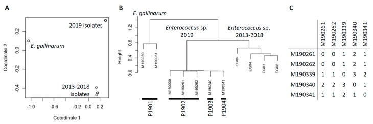 Figure 5