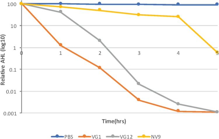 FIGURE 3