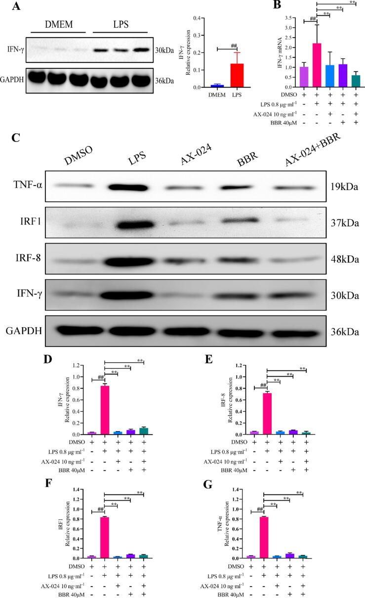 Fig. 9