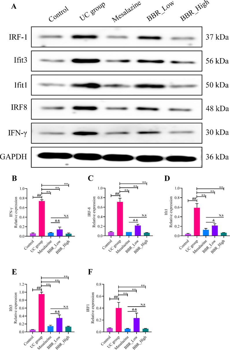 Fig. 8