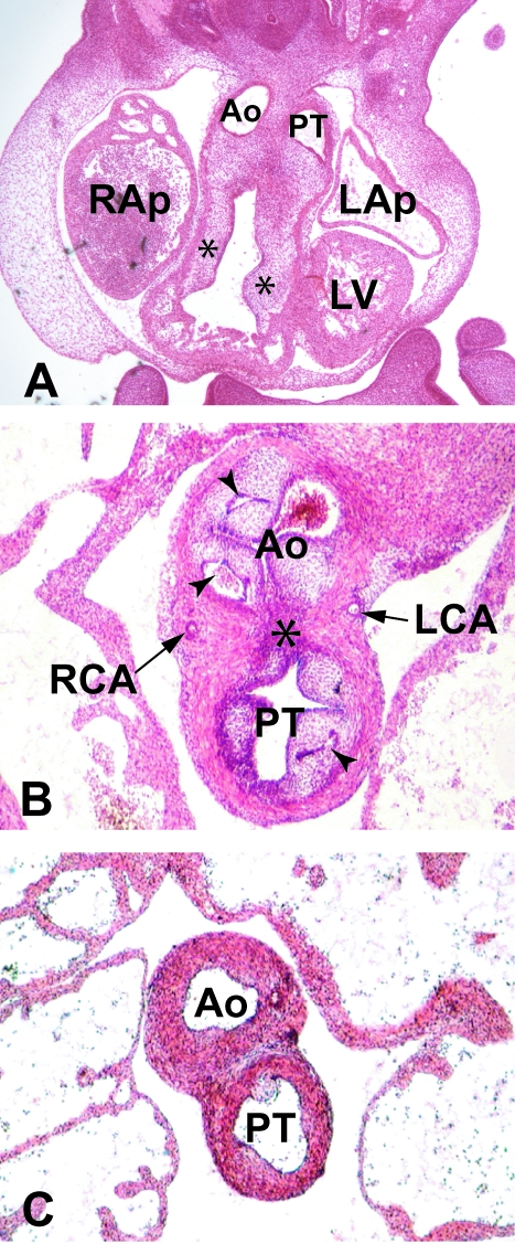 Fig. 9