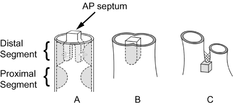 Fig. 8