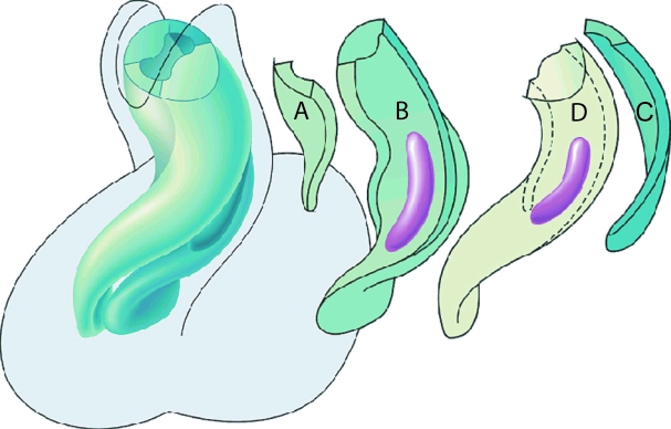 Fig. 10