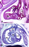 Fig. 11