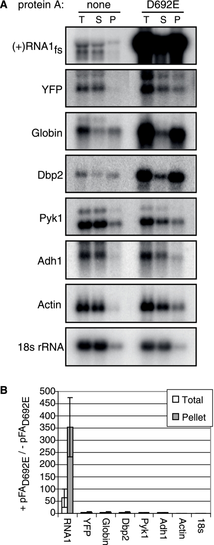 FIG. 5.