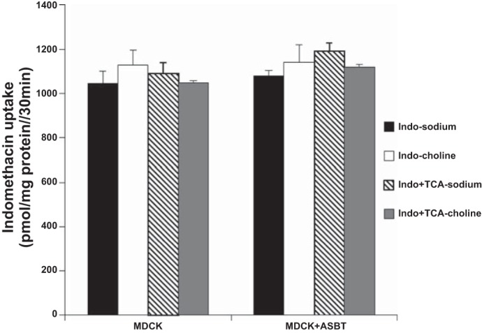 Fig. 7.