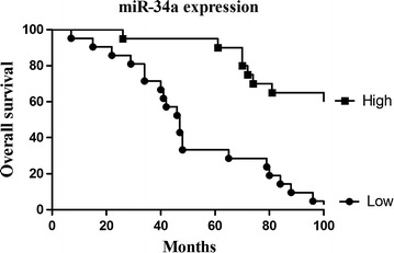 Fig. 5