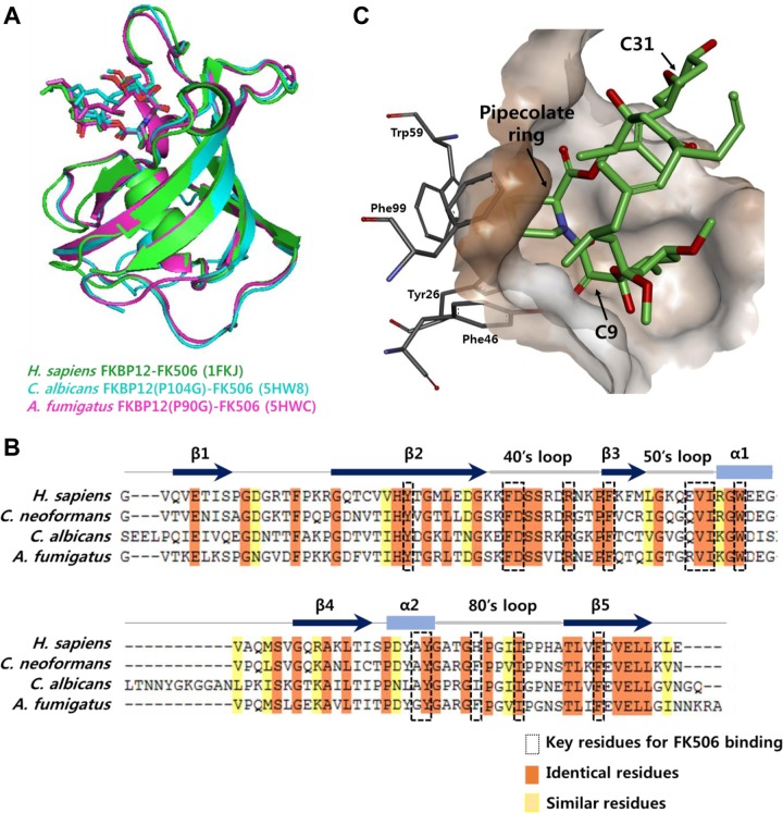 FIG 8