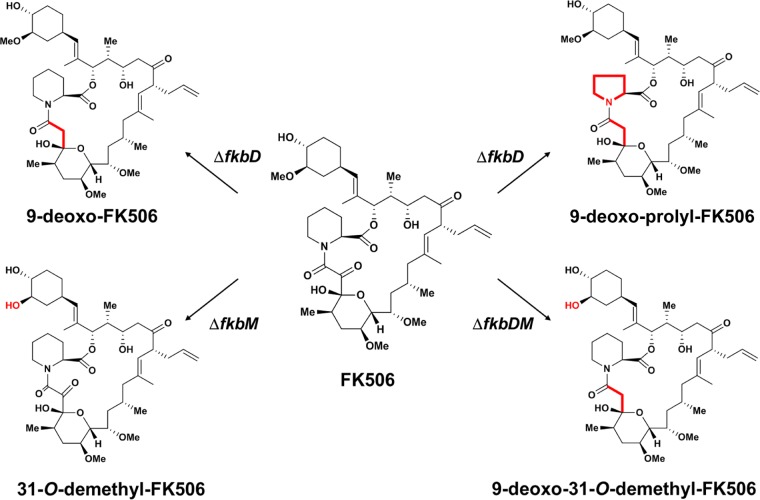 FIG 1