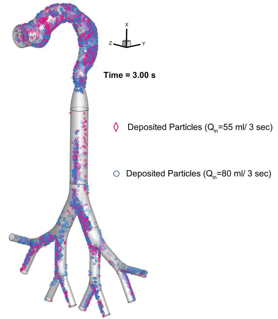 Figure 6: