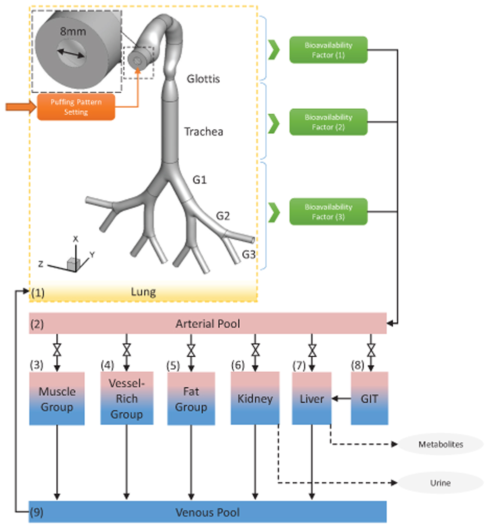 Figure 1: