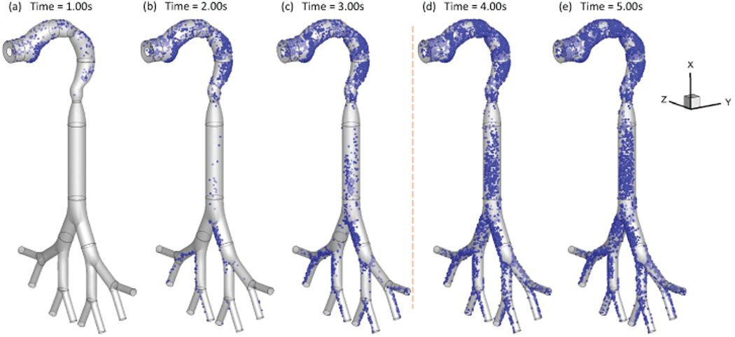 Figure 3: