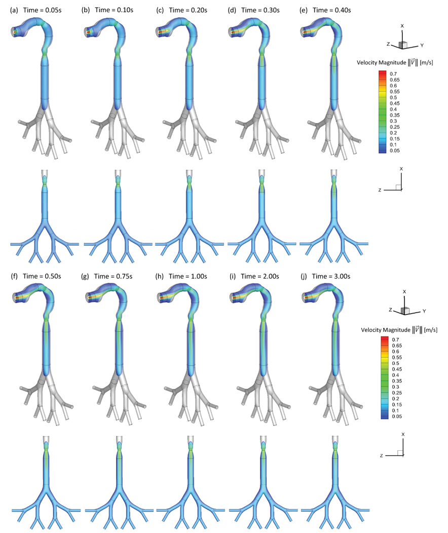 Figure 2: