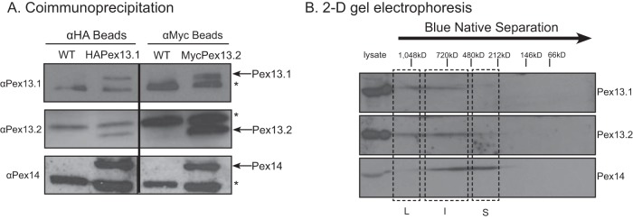 FIG 2