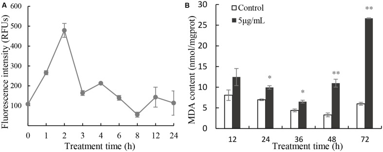 FIGURE 5