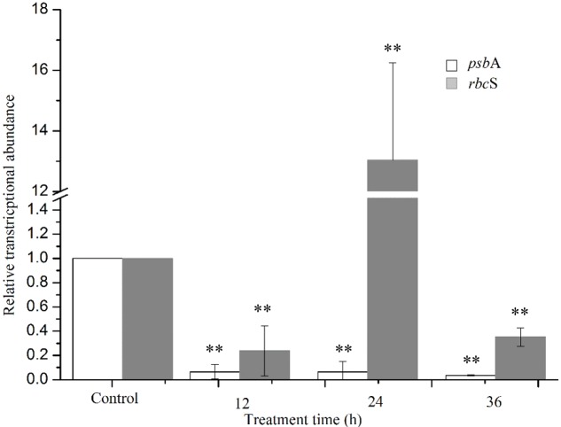 FIGURE 10