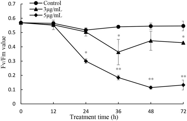 FIGURE 9