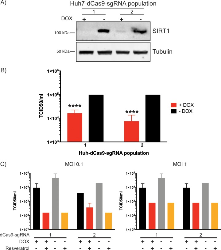 FIG 6