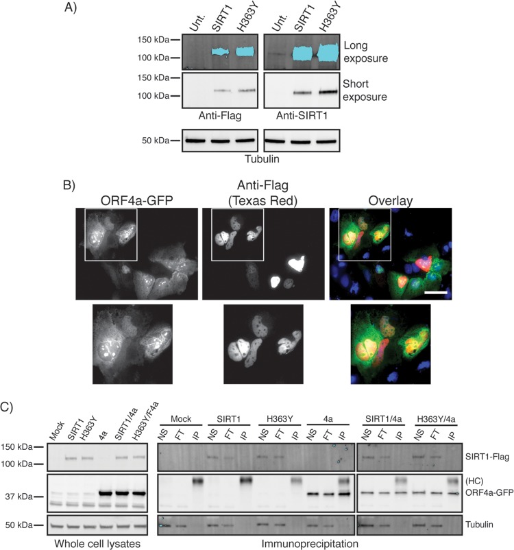 FIG 3