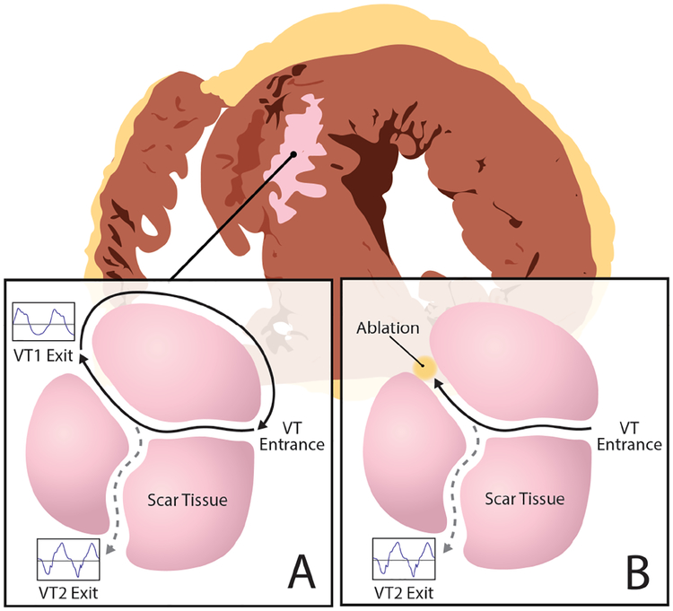 Fig. 1: