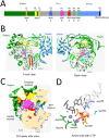 Fig. 2