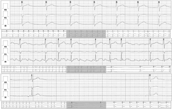 graphic file with name fx1.jpg