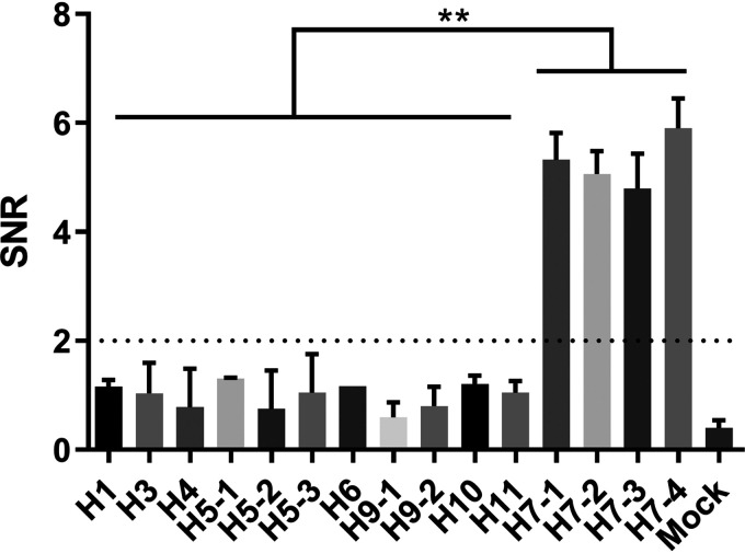 FIG 2