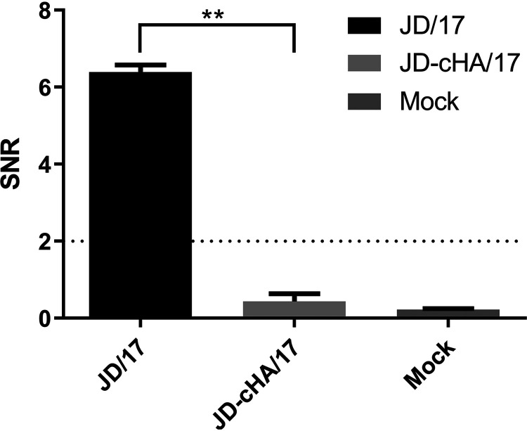 FIG 6