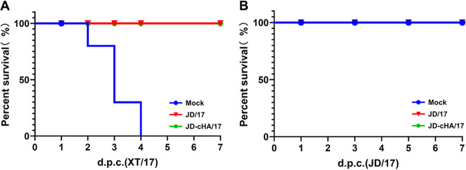 FIG 5