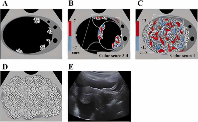 Fig. 2