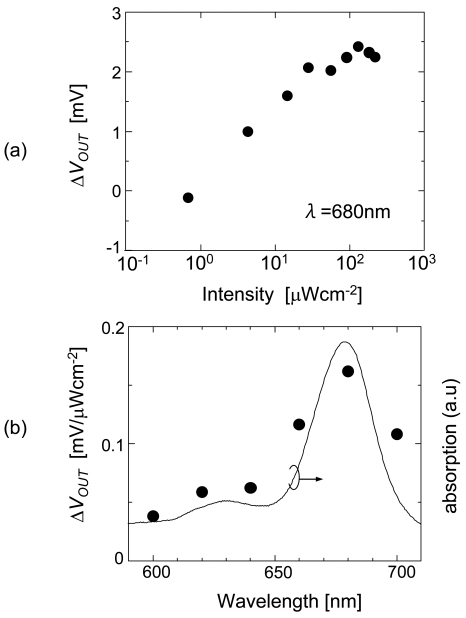 Figure 21.