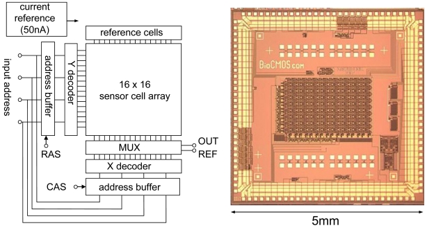 Figure 11.