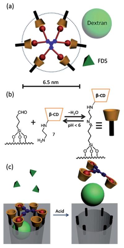 Fig. 2