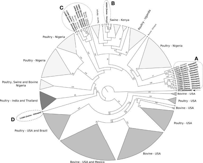 Figure 4