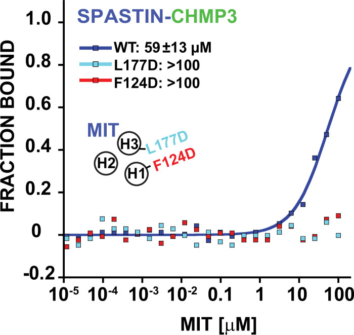 Figure 4—figure supplement 2.