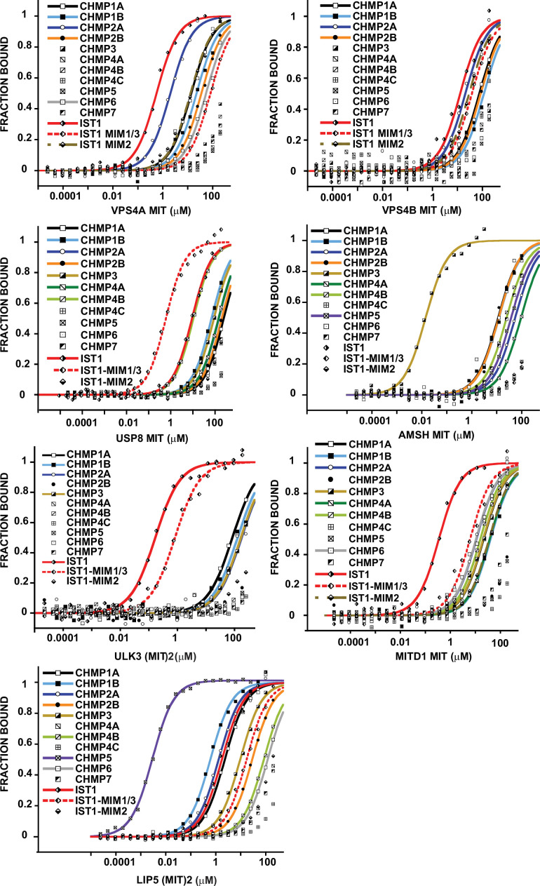 Figure 2—figure supplement 1.