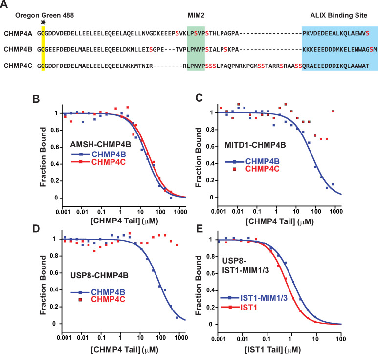 Figure 2—figure supplement 5.