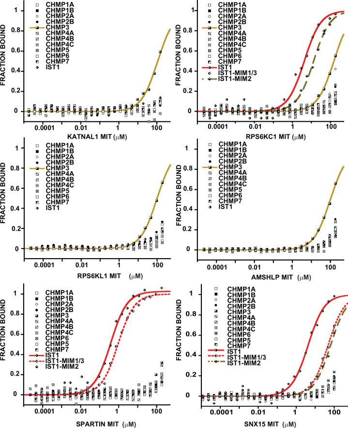 Figure 2—figure supplement 2.