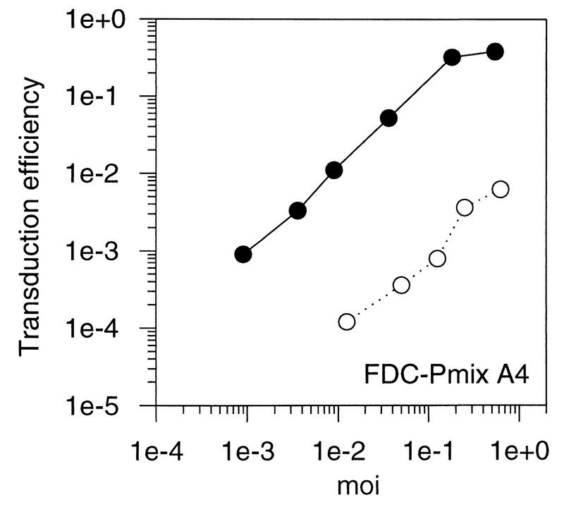 FIG. 1