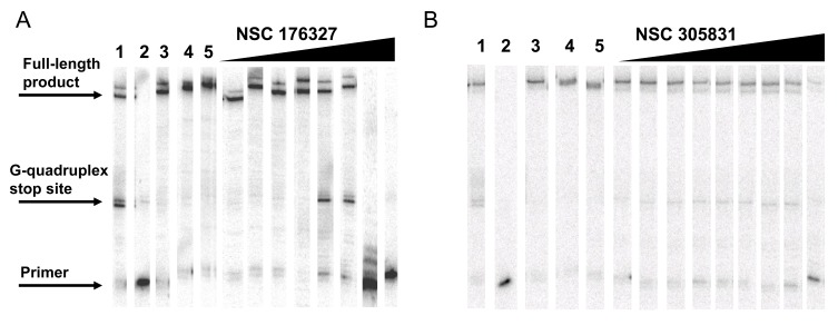 Fig. (5)