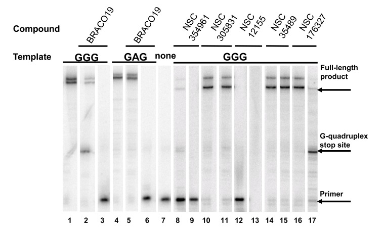 Fig. (4)