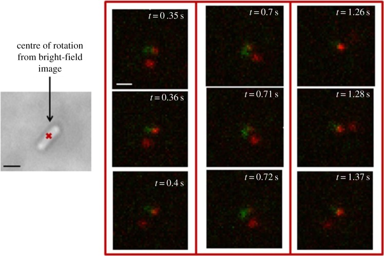 Figure 5.